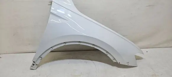 Volkswagen Tiguan Fender 5NA821106