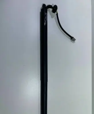 Tailgate/trunk strut/damper