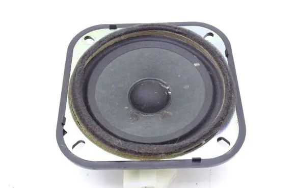 Ford Ranger Rear door speaker