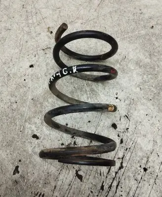Rear coil spring