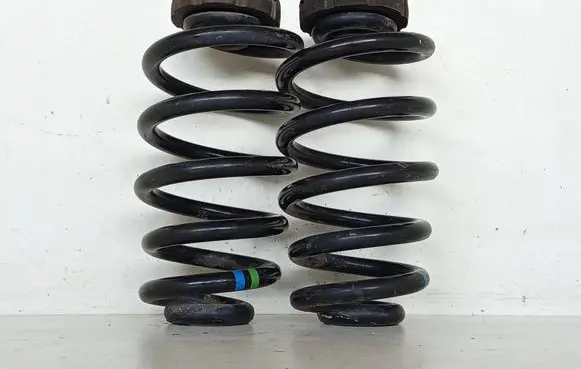 Rear coil spring