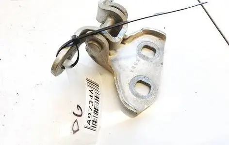 Rear door lower hinge