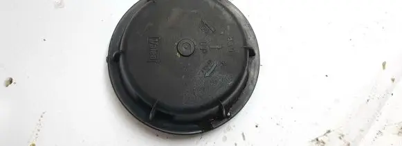 Renault Laguna II Headlight/headlamp dust cover 89001146