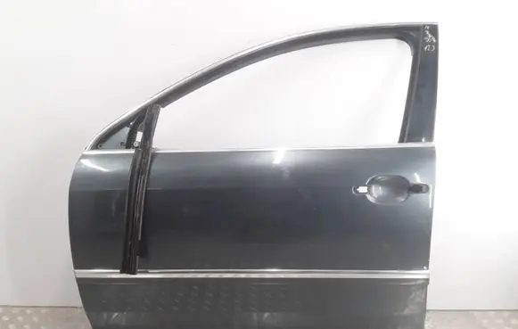 Volkswagen Phaeton Front door 3D0864941