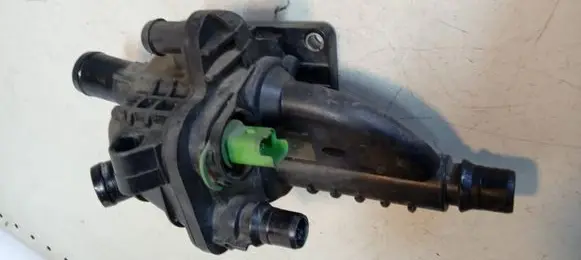 Thermostat/thermostat housing