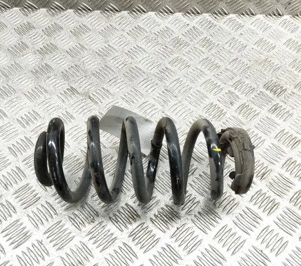 Volkswagen ID.4 Rear coil spring 1EA511103G