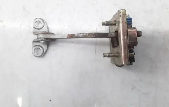 Rear door check strap stopper
