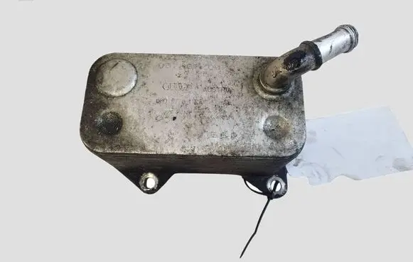 Skoda Octavia Mk2 (1Z) Engine oil radiator 06D117021C
