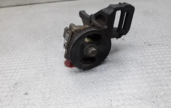 Hyundai Terracan Power steering pump
