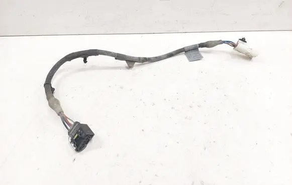 Other wiring loom