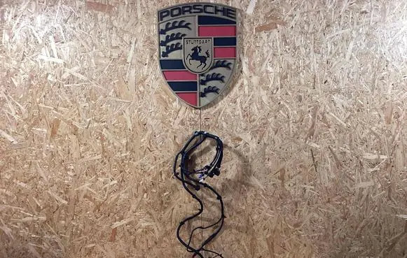 Porsche Panamera (971) Front door wiring loom/harness boot 971972155bs