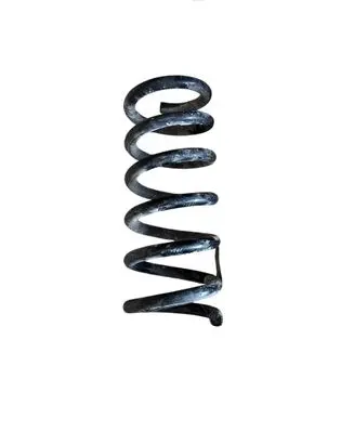 Ford Mustang VI Rear coil spring FR3C5560LA FR3C5560 048PA