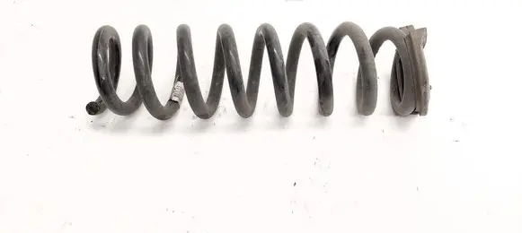 Rear coil spring