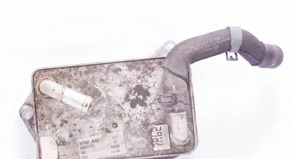 Volkswagen PASSAT B8 Engine oil radiator 0DD317019