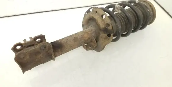 Opel Zafira B Front shock absorber with coil spring 224603
