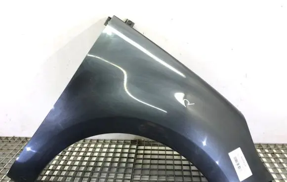 Fender