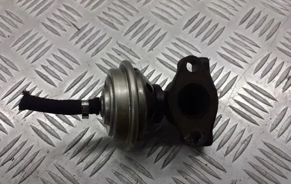 Volkswagen PASSAT B5 EGR valve 028131501E