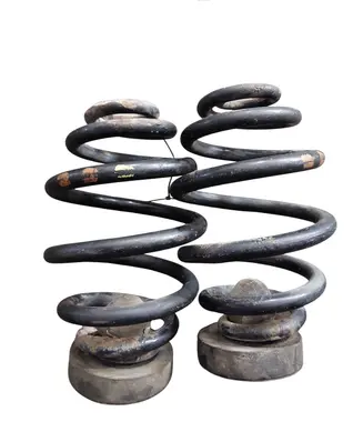 Rear coil spring