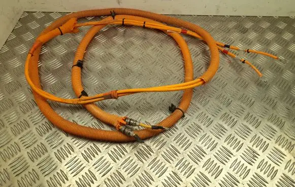 Tesla Model S Other wiring loom 103058210G