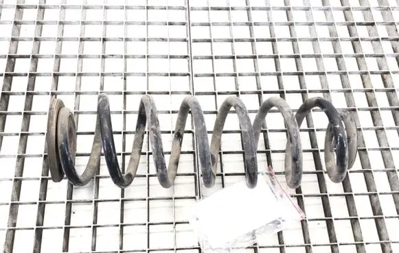 Rear coil spring