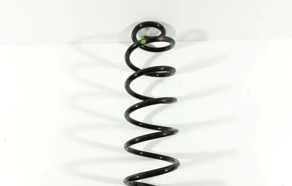 Toyota C-HR I Rear coil spring
