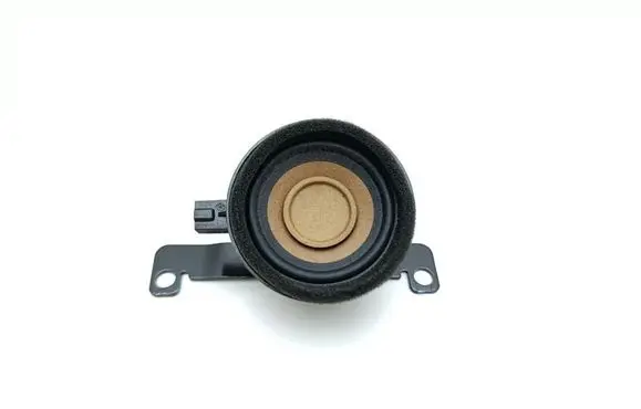 Front door high frequency speaker