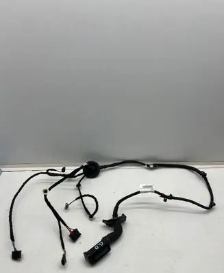 Rear door wiring loom