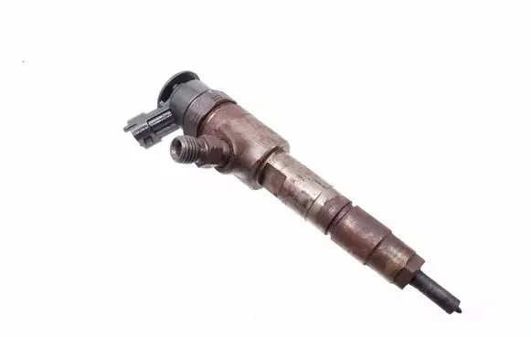 Peugeot Partner Fuel injector 0445110340