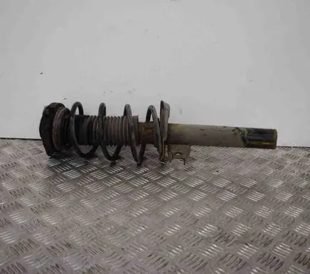 Volkswagen Golf V Front shock absorber/damper 1K0413031BE