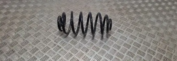 Rear coil spring