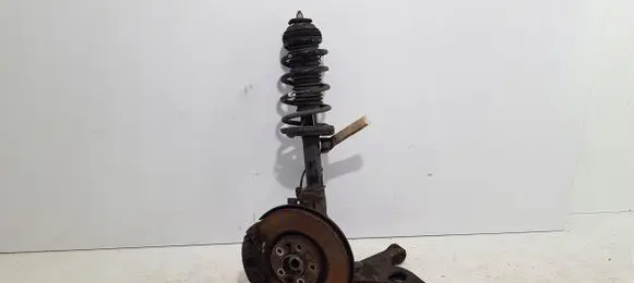 Opel Meriva B Rear shock absorber with coil spring 