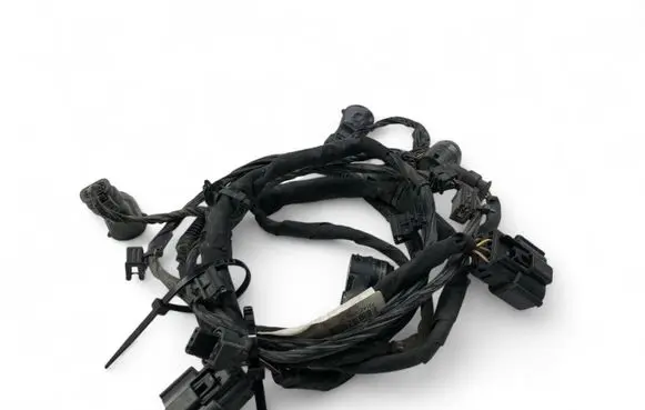 Other wiring loom