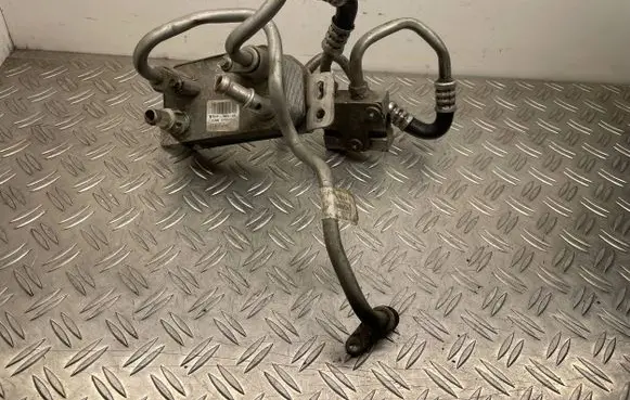 Ford Kuga II Engine oil radiator F1FP7869AB