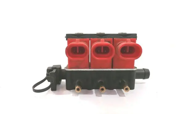 Audi A6 S6 C5 4B LP gas injector 110R010140 67R010199