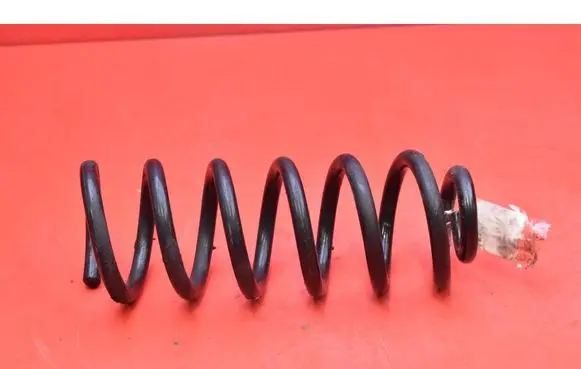 Hyundai Tucson JM Rear coil spring 