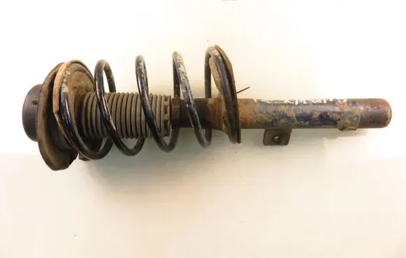 Peugeot 206 Front shock absorber with coil spring