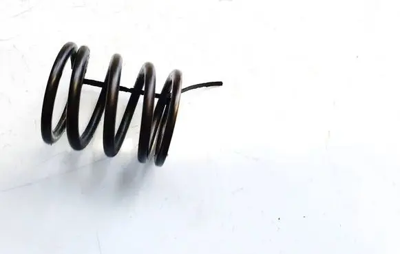 Volkswagen PASSAT B6 Valve spring 