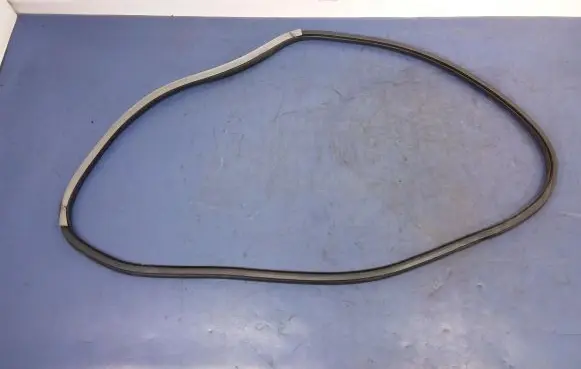 Renault Laguna III Front door rubber seal 