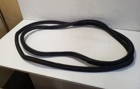 Opel Ampera Trunk rubber seal (body) 