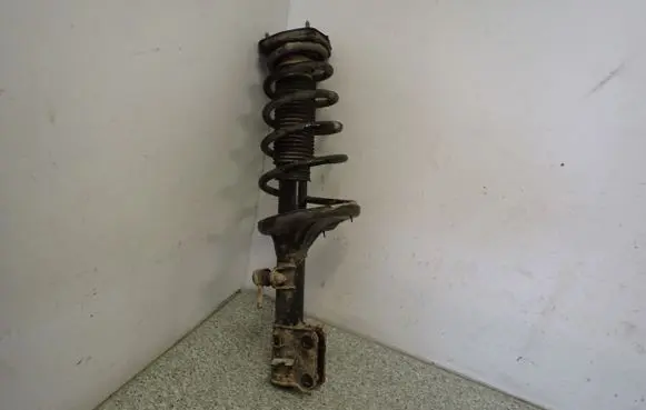 Hyundai Tucson JM Front shock absorber with coil spring