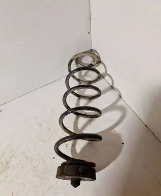 Rear coil spring