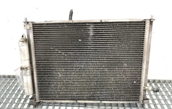 Renault Clio III Coolant radiator 8200688390