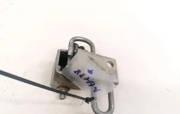 Rear door lower hinge