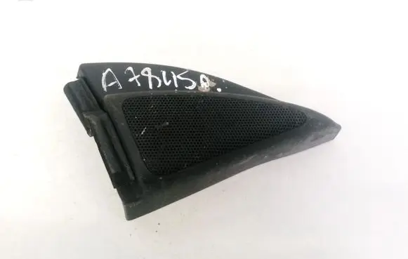 Side speaker trim/cover