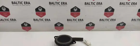 Front door high frequency speaker