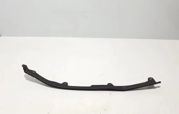 Other front door trim element