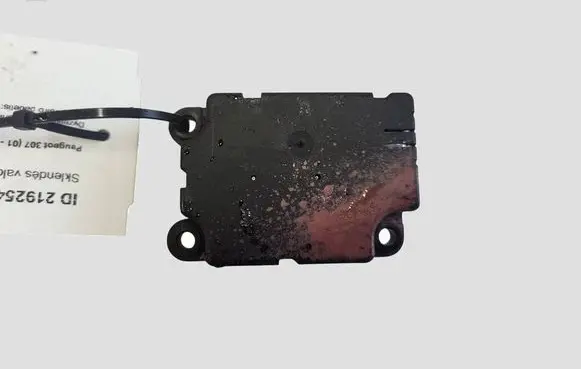 Peugeot 307 Intake manifold valve actuator/motor