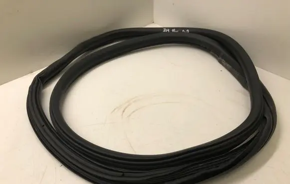 Citroen DS4 Rear door rubber seal (on body) 