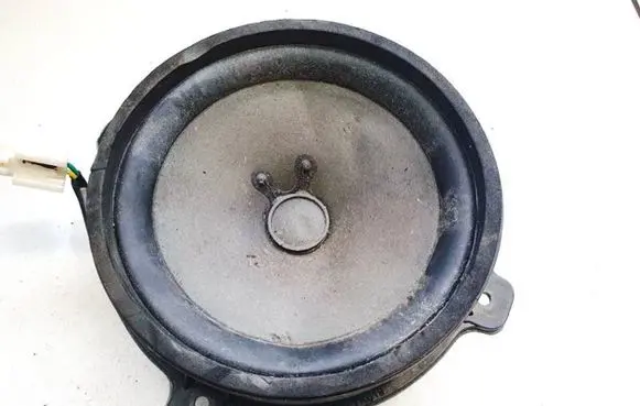 Chevrolet Captiva Front door speaker 25907868