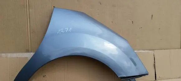 Citroen C3 Fender